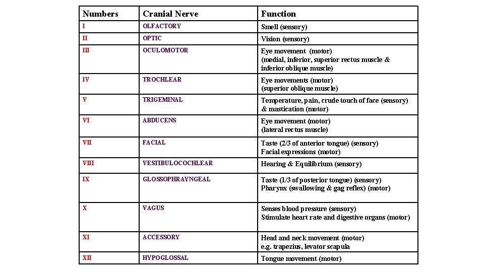 Numbers Cranial Nerve Function I OLFACTORY Smell (sensory) II OPTIC Vision (sensory) III OCULOMOTOR
