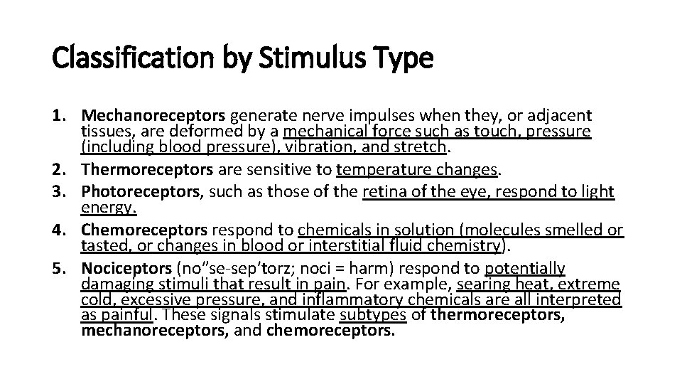 Classification by Stimulus Type 1. Mechanoreceptors generate nerve impulses when they, or adjacent tissues,