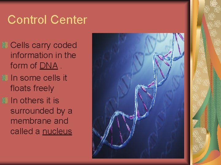 Control Center Cells carry coded information in the form of DNA. In some cells