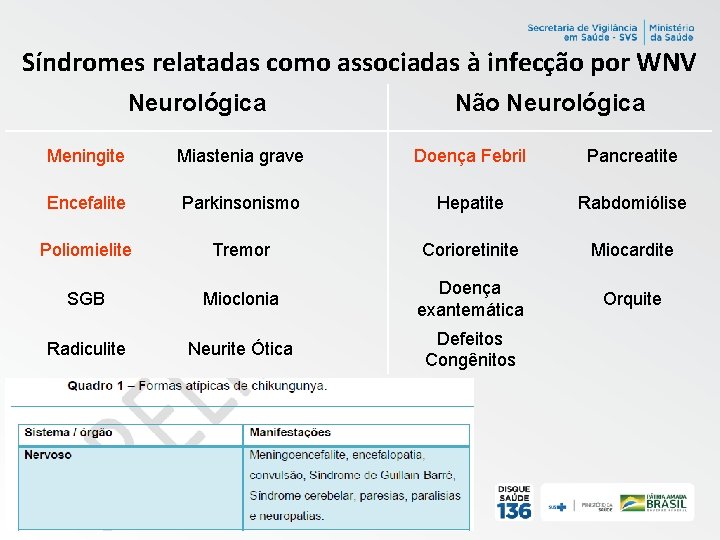 Síndromes relatadas como associadas à infecção por WNV Neurológica Não Neurológica Meningite Miastenia grave