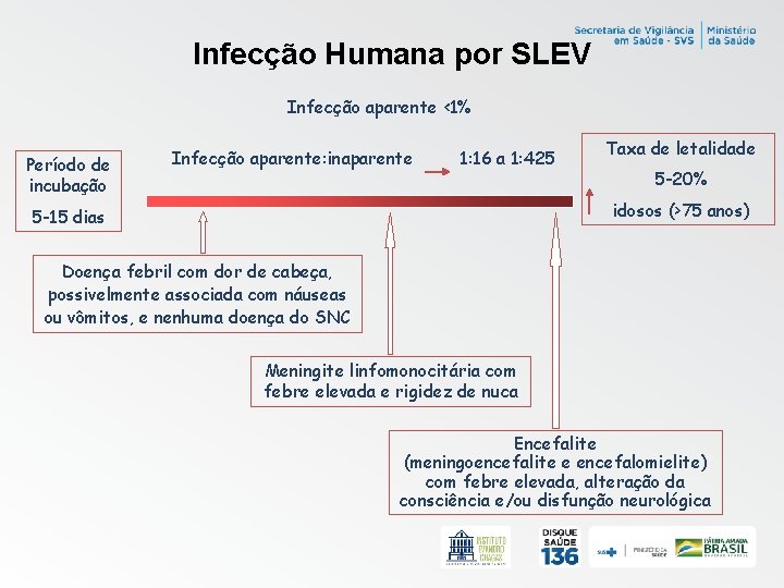 Infecção Humana por SLEV Infecção aparente <1% Período de incubação Infecção aparente: inaparente 1: