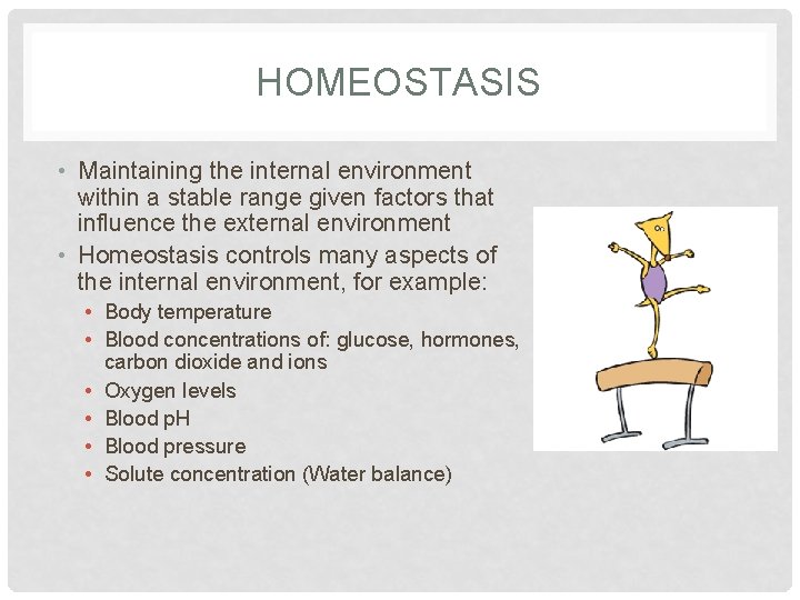 HOMEOSTASIS • Maintaining the internal environment within a stable range given factors that influence HOMEOSTASIS • Maintaining the internal environment within a stable range given factors that influence