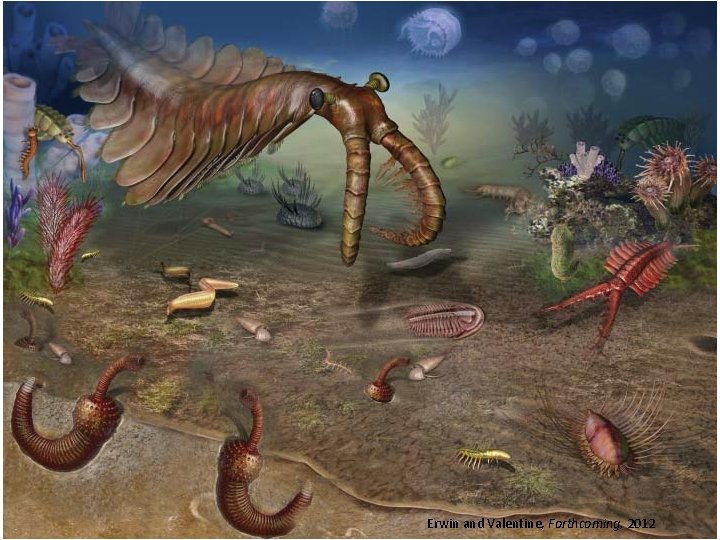 Erwin and Valentine, Forthcoming, 2012 