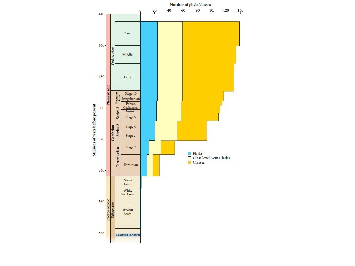 Erwin and Valentine, The Construction of Animal Biodiversity, 2013 