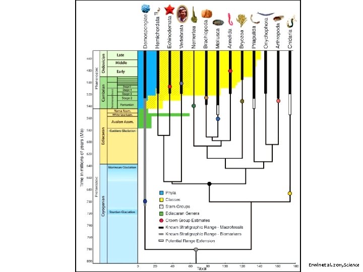 Erwin et al. 2011, Science 
