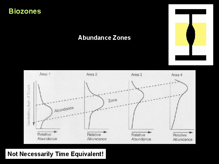 Biozones Abundance Zones Not Necessarily Time Equivalent! 