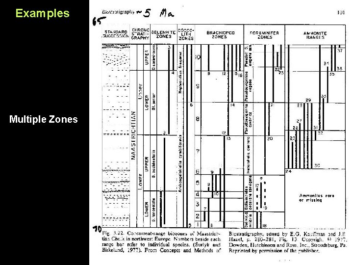 Examples Multiple Zones 