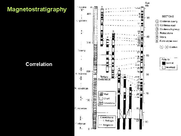 Magnetostratigraphy Correlation 