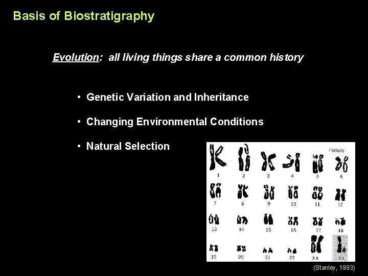 Basis of Biostratigraphy Evolution: all living things share a common history • Genetic Variation
