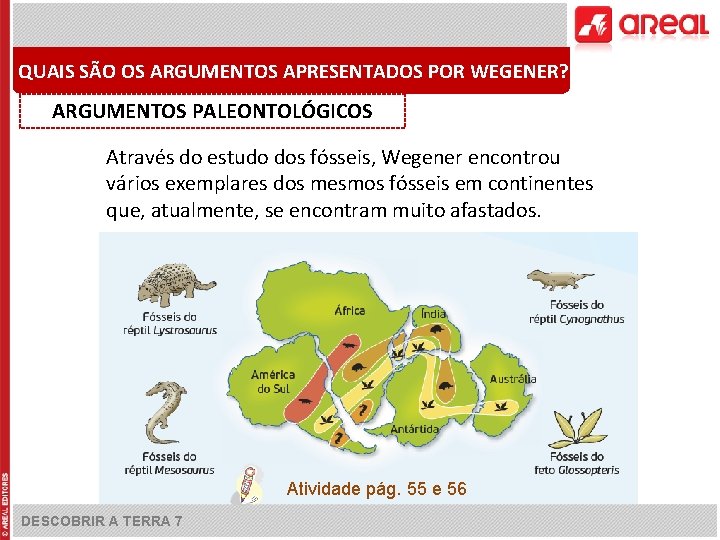 QUAIS SÃO OS ARGUMENTOS APRESENTADOS POR WEGENER? ARGUMENTOS PALEONTOLÓGICOS Através do estudo dos fósseis,