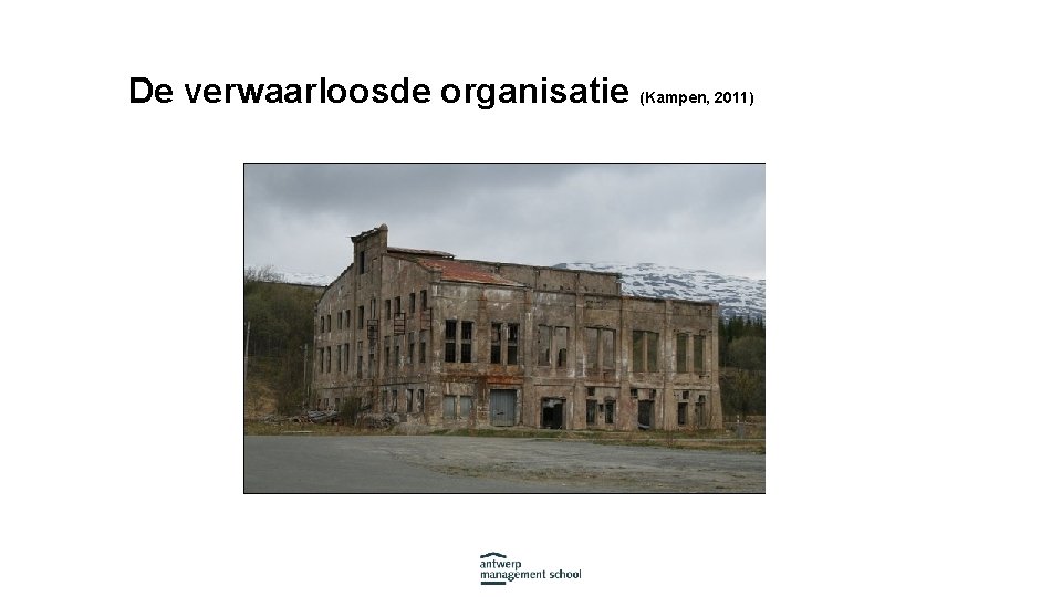 De verwaarloosde organisatie (Kampen, 2011) 