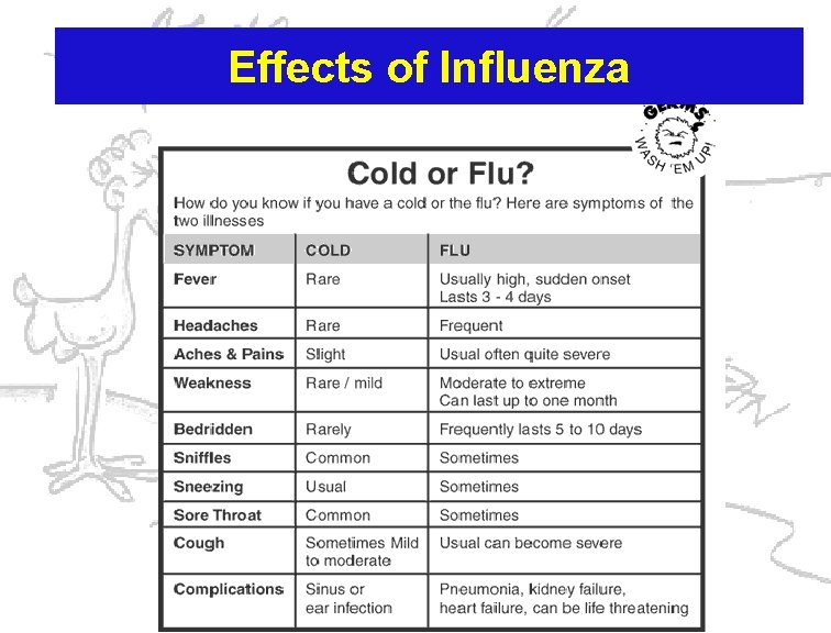 Effects of Influenza 