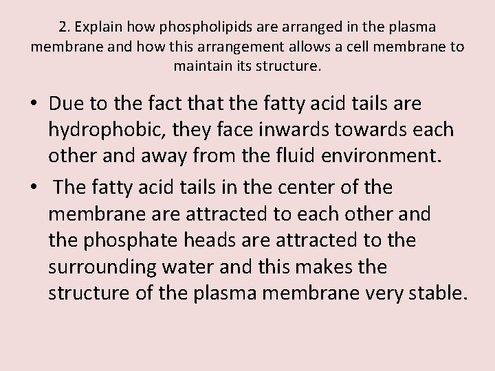 2. Explain how phospholipids are arranged in the plasma membrane and how this arrangement