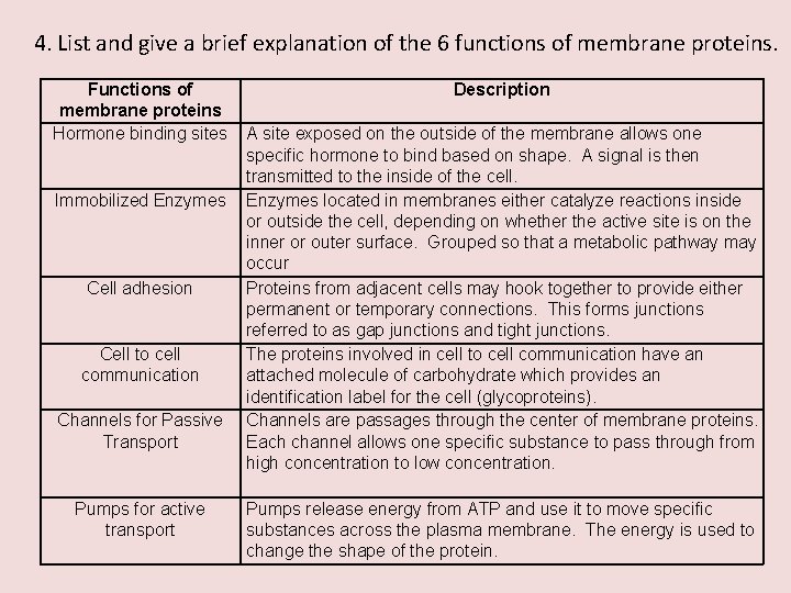 4. List and give a brief explanation of the 6 functions of membrane proteins.