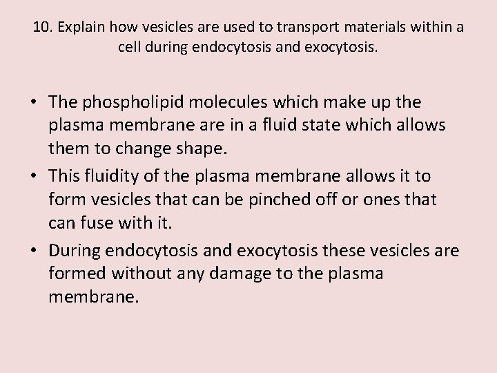 10. Explain how vesicles are used to transport materials within a cell during endocytosis