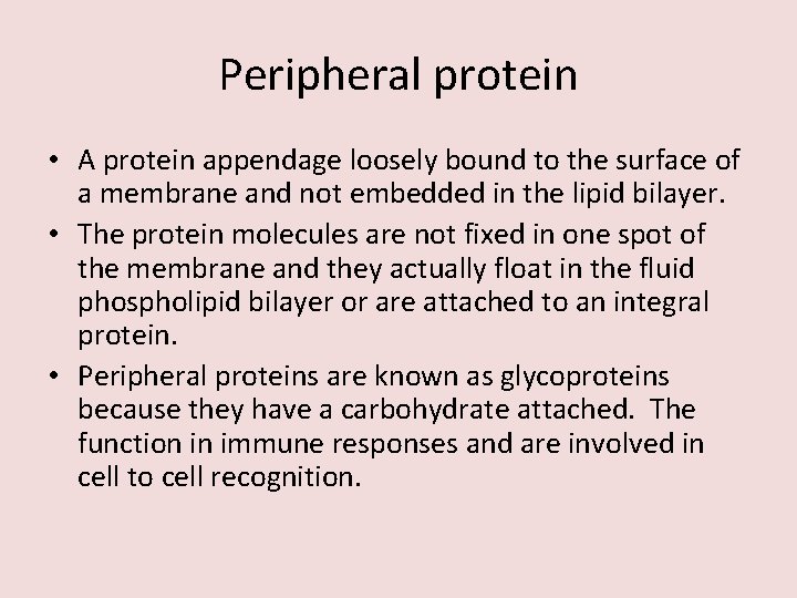 Peripheral protein • A protein appendage loosely bound to the surface of a membrane