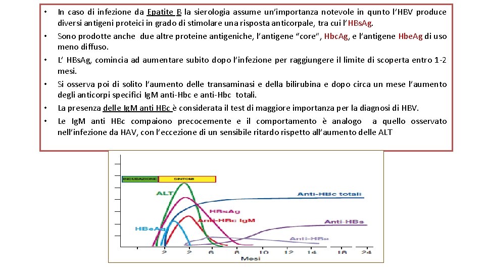  • • • In caso di infezione da Epatite B la sierologia assume