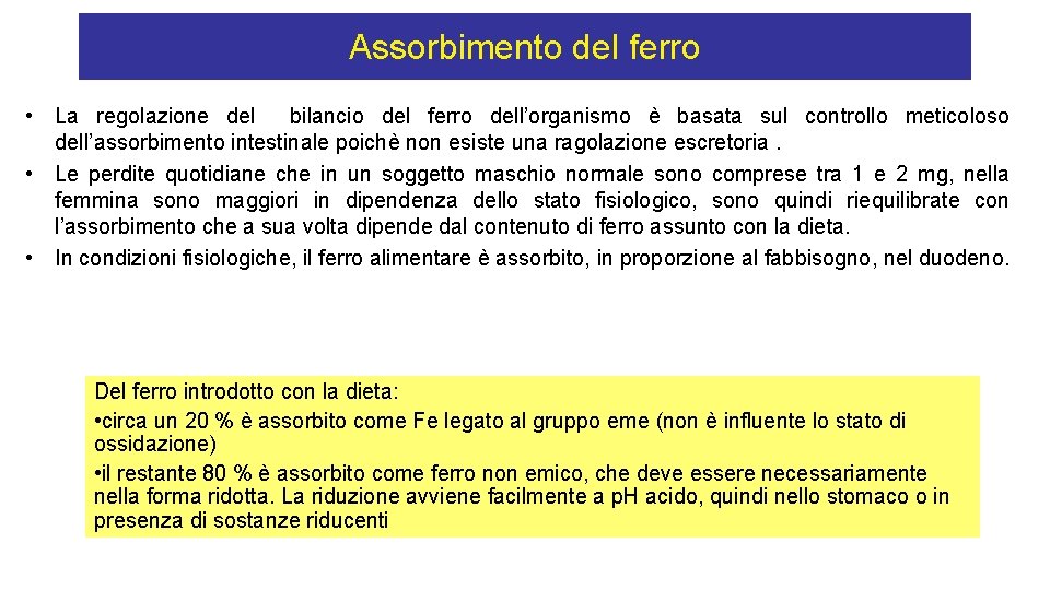 Assorbimento del ferro • La regolazione del bilancio del ferro dell’organismo è basata sul
