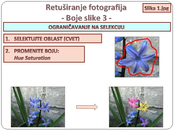 Retuširanje fotografija - Boje slike 3 OGRANIČAVANJE NA SELEKCIJU Hue Saturation Slika 1. jpg