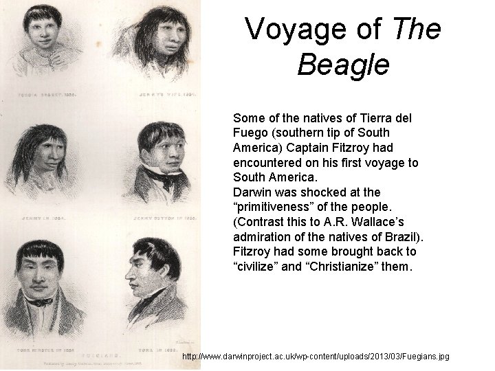 Voyage of The Beagle Some of the natives of Tierra del Fuego (southern tip