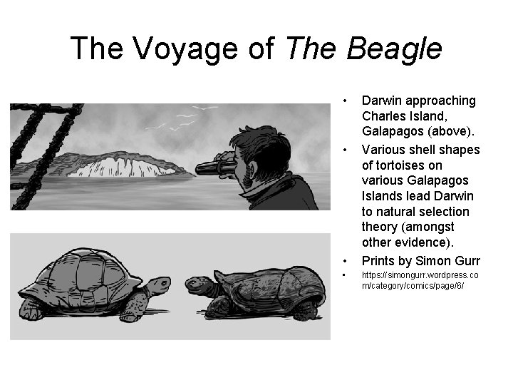 The Voyage of The Beagle • • Darwin approaching Charles Island, Galapagos (above). Various