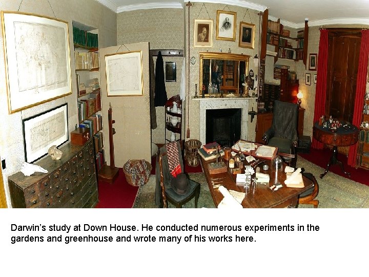 Darwin Naturally Selects Emma Darwin’s study at Down House. He conducted numerous experiments in