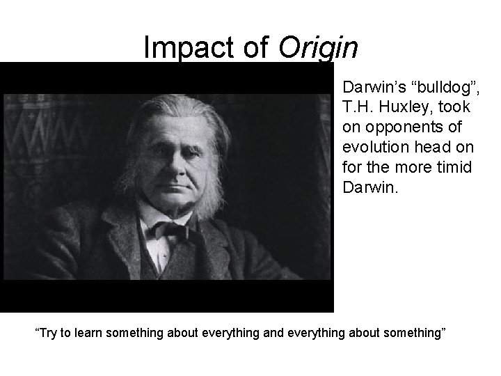 Impact of Origin Darwin’s “bulldog”, T. H. Huxley, took on opponents of evolution head