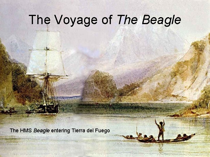 The Voyage of The Beagle The HMS Beagle entering Tierra del Fuego 