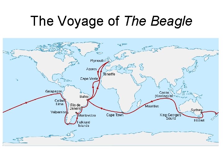 The Voyage of The Beagle 