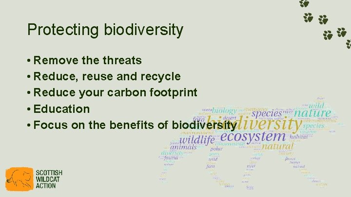 Protecting biodiversity • Remove threats • Reduce, reuse and recycle • Reduce your carbon