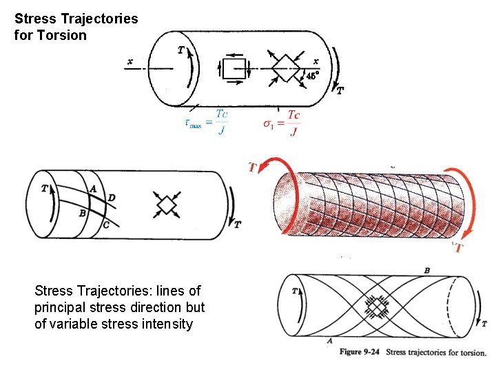 Stress Trajectories for Torsion Stress Trajectories: lines of principal stress direction but of variable