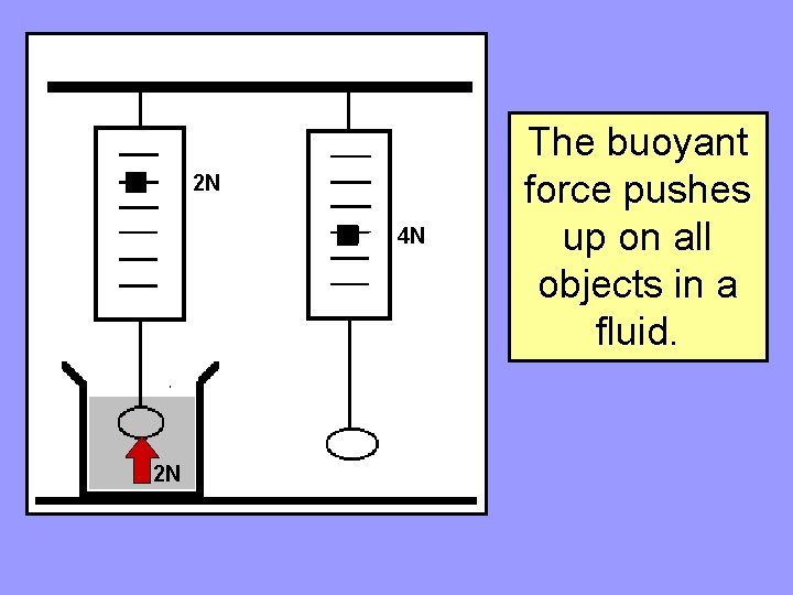 2 N 4 N 2 N The buoyant force pushes up on all objects