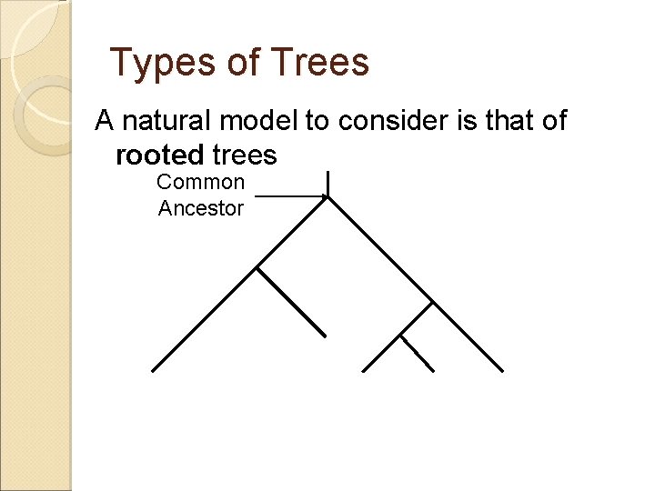 Types of Trees A natural model to consider is that of rooted trees Common