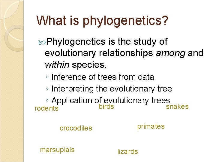 What is phylogenetics? Phylogenetics is the study of evolutionary relationships among and within species.