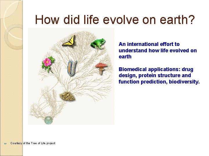 How did life evolve on earth? An international effort to understand how life evolved