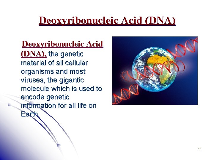 Deoxyribonucleic Acid (DNA), the genetic material of all cellular organisms and most viruses, the