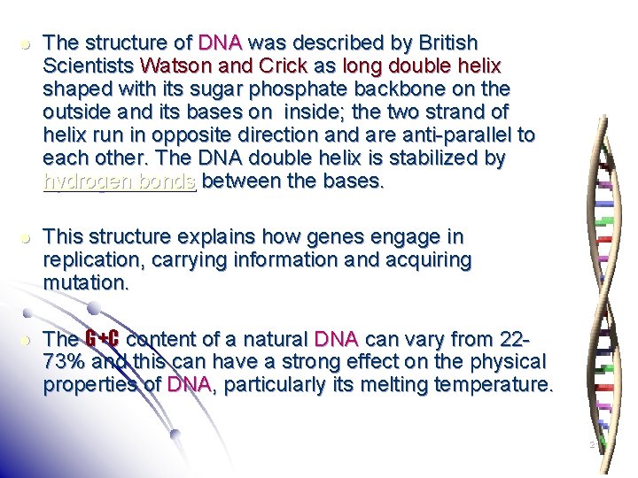 l The structure of DNA was described by British Scientists Watson and Crick as
