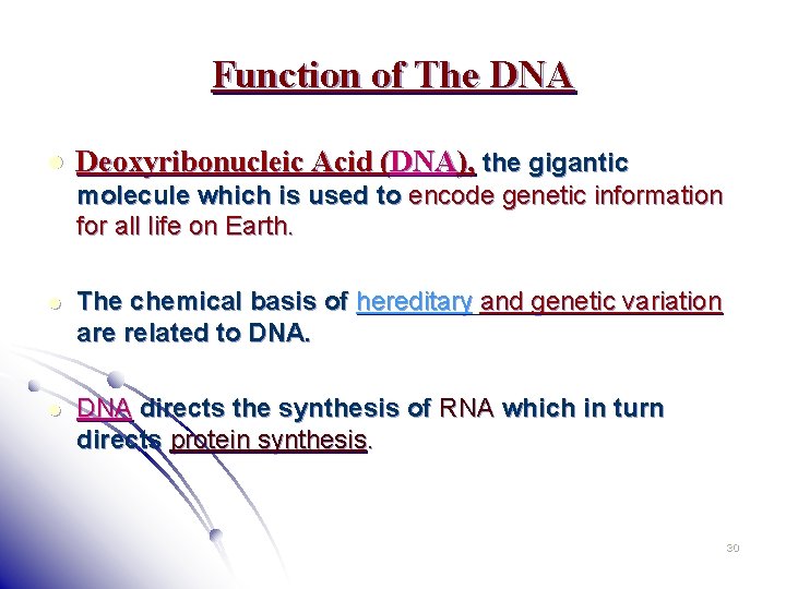 Function of The DNA l Deoxyribonucleic Acid (DNA), the gigantic molecule which is used