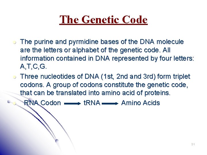 The Genetic Code l l l The purine and pyrmidine bases of the DNA