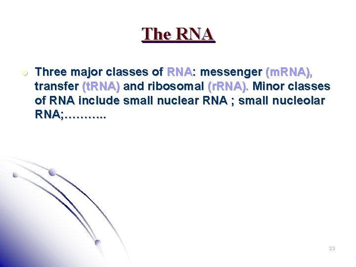 The RNA l Three major classes of RNA: messenger (m. RNA), transfer (t. RNA)