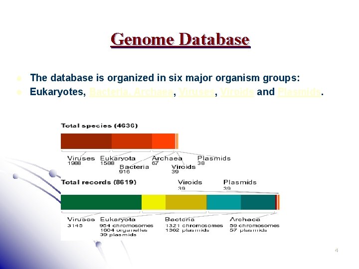 Genome Database l l The database is organized in six major organism groups: Eukaryotes,