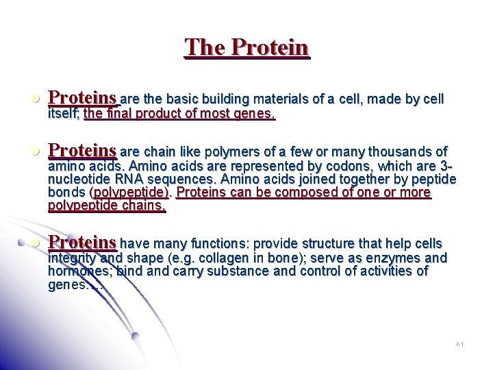 The Protein l Proteins are the basic building materials of a cell, made by