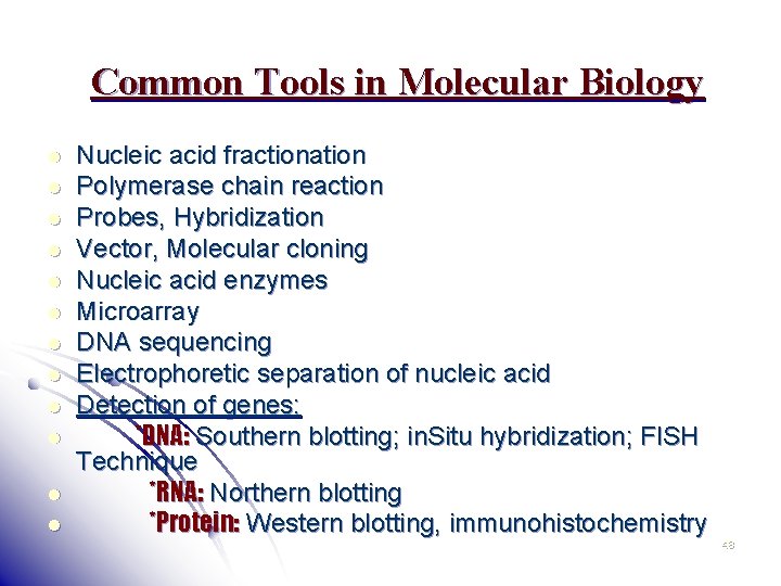 Common Tools in Molecular Biology l l l Nucleic acid fractionation Polymerase chain reaction