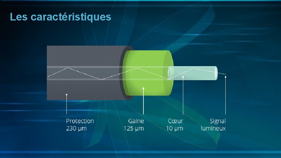 Les caractéristiques 