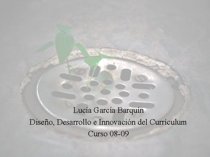 Lucía García Barquín Diseño, Desarrollo e Innovación del Currículum Curso 08 -09 