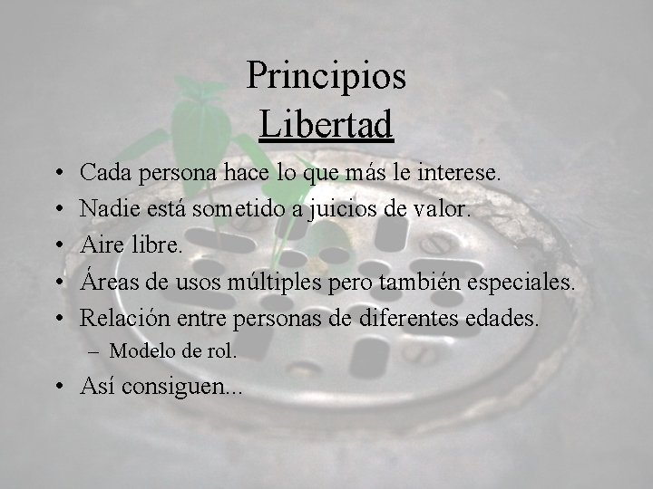 Principios Libertad • • • Cada persona hace lo que más le interese. Nadie