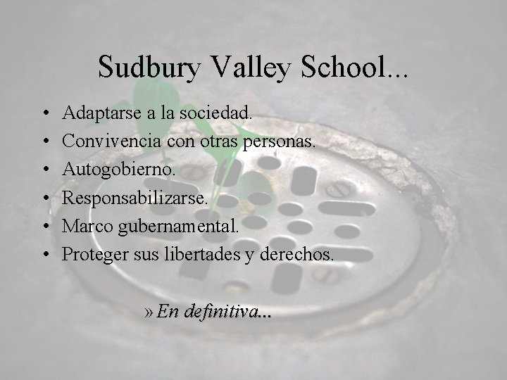 Sudbury Valley School. . . • • • Adaptarse a la sociedad. Convivencia con