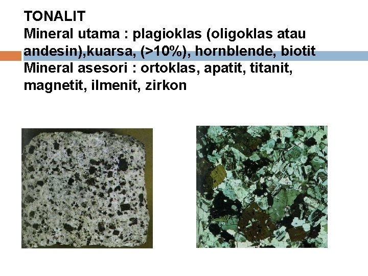 TONALIT Mineral utama : plagioklas (oligoklas atau andesin), kuarsa, (>10%), hornblende, biotit Mineral asesori