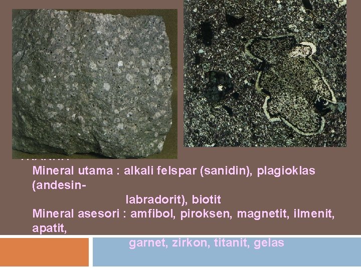 TRAKHIT Mineral utama : alkali felspar (sanidin), plagioklas (andesinlabradorit), biotit Mineral asesori : amfibol,