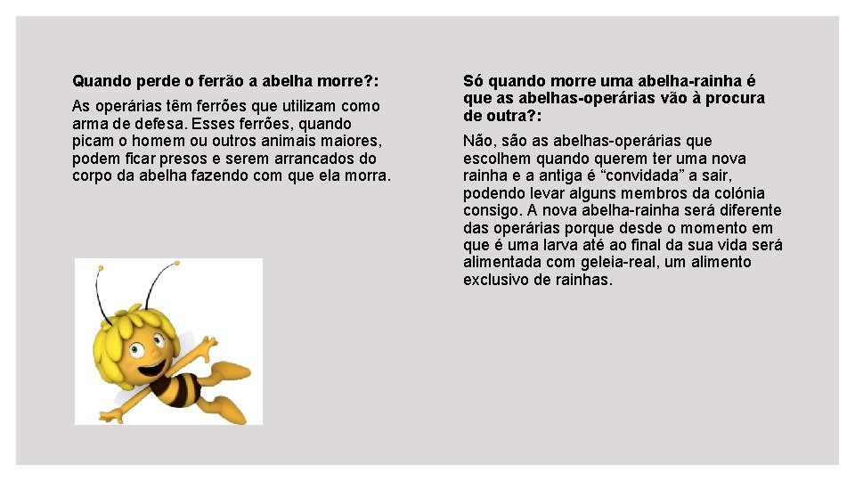 Quando perde o ferrão a abelha morre? : As operárias têm ferrões que utilizam